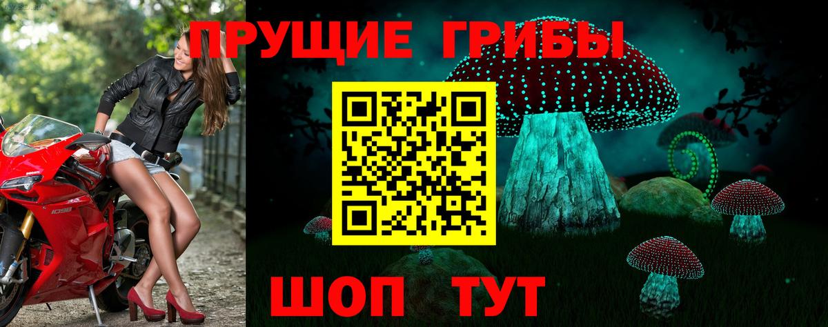 Псилоцибиновые грибы Psilocybe  Псилоцибиновые грибы Psilocybe  Великий Устюг  Вход с VPN 
